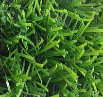 Искусственная трава Forio Geleonsport 40mm Geleonsport 40 фото 1 | FLOORDEALER